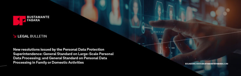 New resolutions issued by the Personal Data Protection Superintendence: General Standard on Large-Scale Personal Data Processing; and General Standard on Personal Data Processing in Family or Domestic Activities