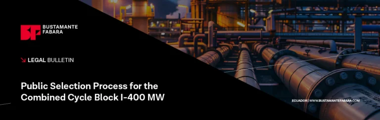 Public Selection Process for the Combined Cycle Block I-400 MW