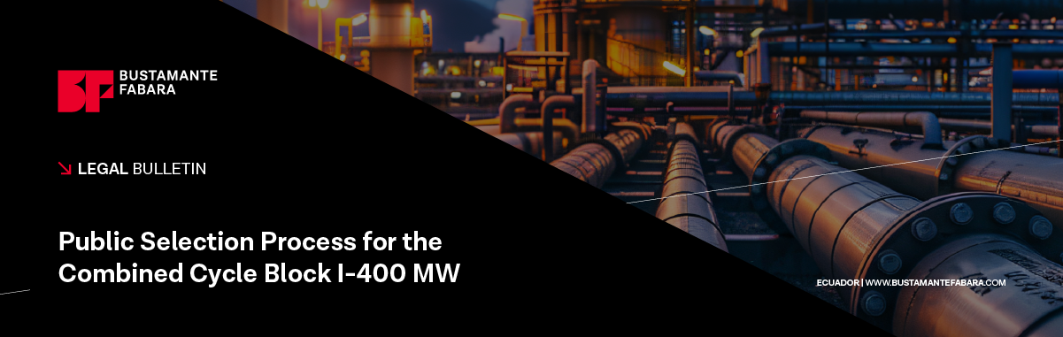 Public Selection Process for the Combined Cycle Block I-400 MW