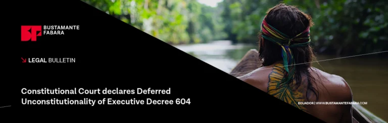 Constitutional Court Declares Deferred Unconstitutionality of Executive Decree 604