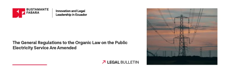 The General Regulations to the Organic Law on the Public Electricity Service Are Amended