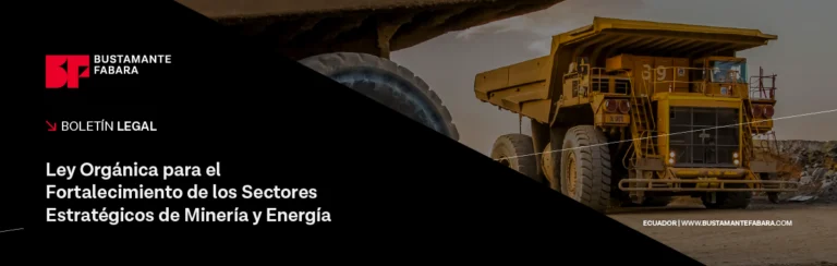 Ley Orgánica para el Fortalecimiento de los Sectores Estratégicos de Minería y Energía