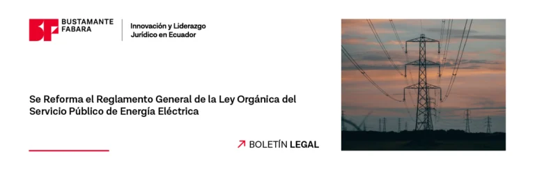 Se reforma el Reglamento General de la Ley Orgánica del Servicio Público de Energía Eléctrica